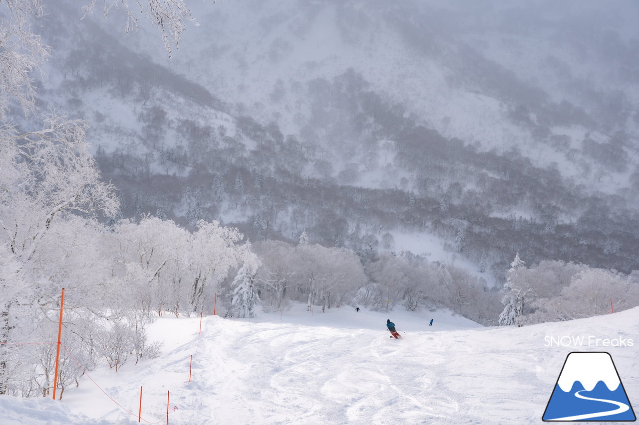 キロロリゾート｜降り出したら早いキロロ。積雪は、200cmに到達！X'mas＆年末年始に向けてコンディション急上昇(*^^)v